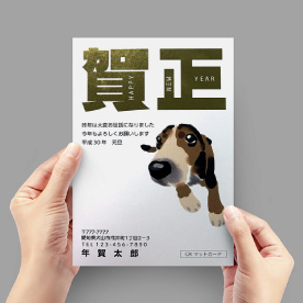 箔付きハガキ（金）イメージ