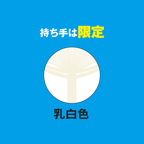 商品イメージ2
