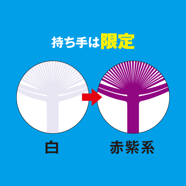 商品イメージ2